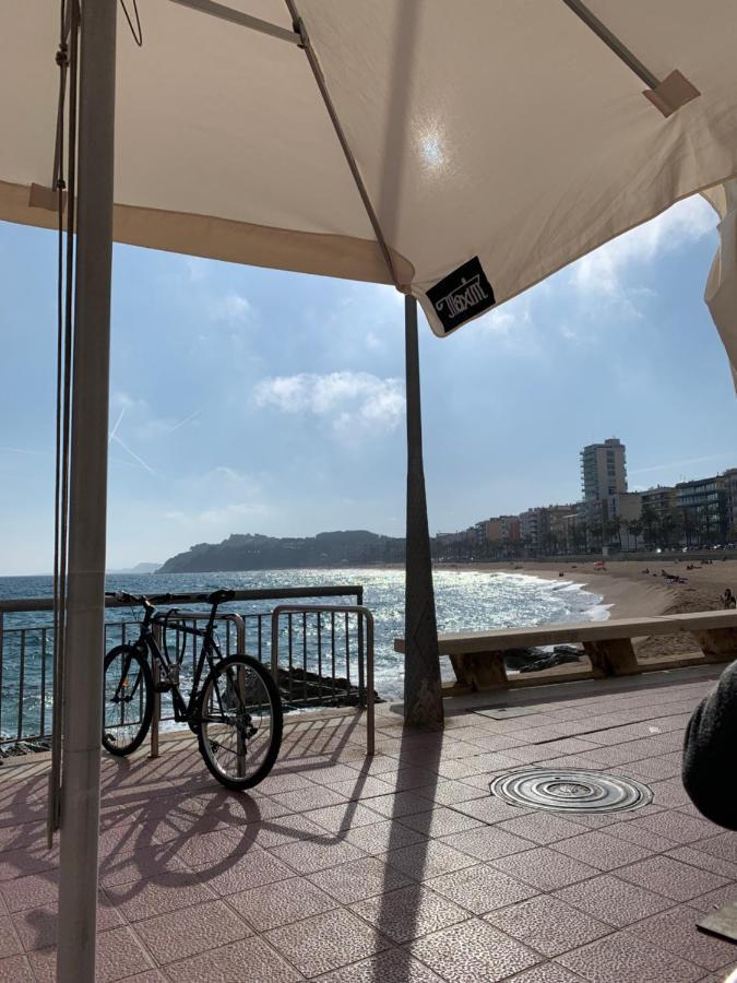 Kelly'S Beach Home يوريت دي مار المظهر الخارجي الصورة